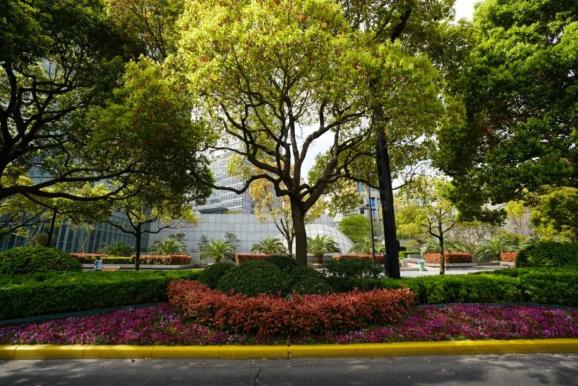 沿线,世纪大道,世博大道,张杨路(浦明路-中环),锦绣路(花木路-中环)