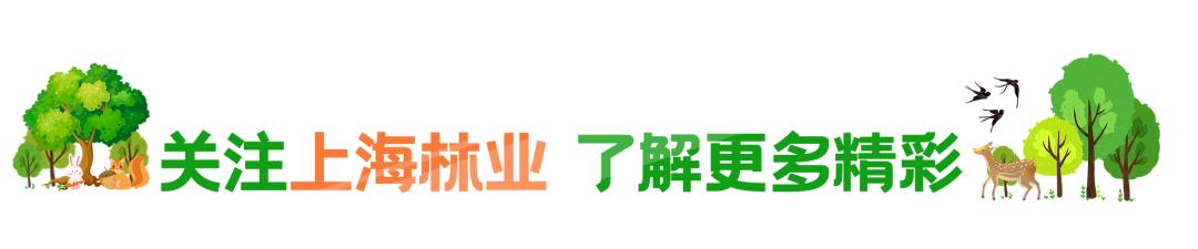 第39届上海爱鸟周留言集赞活动中奖名单出炉，等你领奖哦！