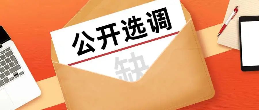 选调开始就等你来