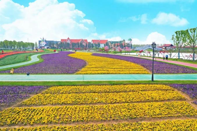 五一放价我要借灌云伊甸园的花称霸朋友圈