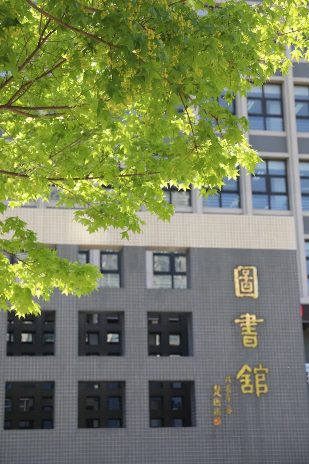 那么它一定是图书馆的模样如果世上有天堂阿根廷作家博尔赫斯曾说过让