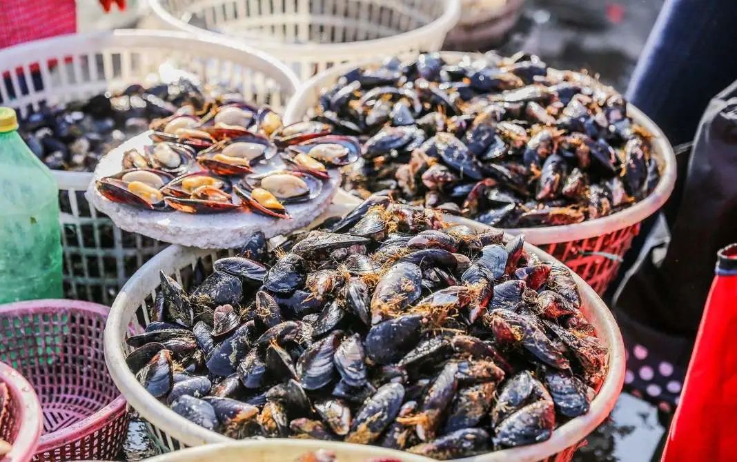 为什么四五月份海虹等贝类要少吃来听专家怎么说