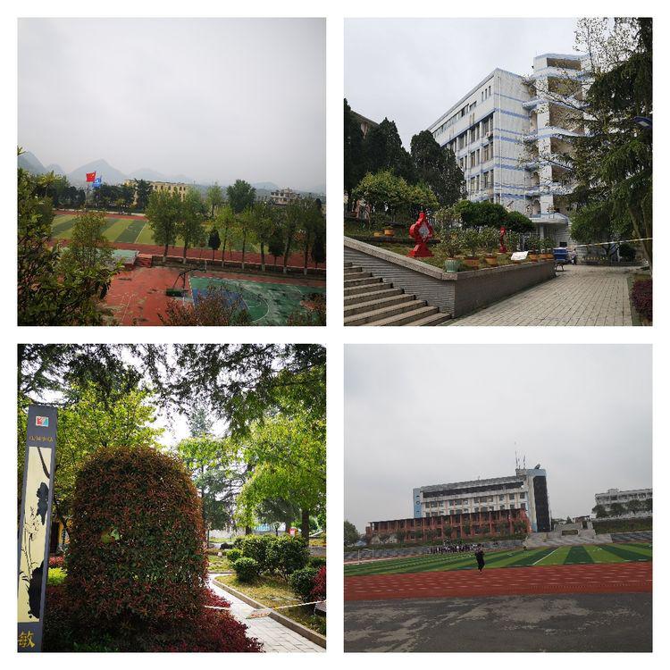 不论是位于城区的平坝二中,平坝三中,地处乡镇的乐平中学,天龙中学,肖