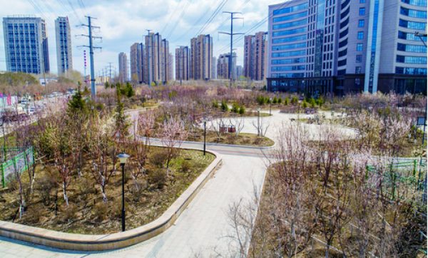 图为景色优美的世纪公园. 张扬 摄