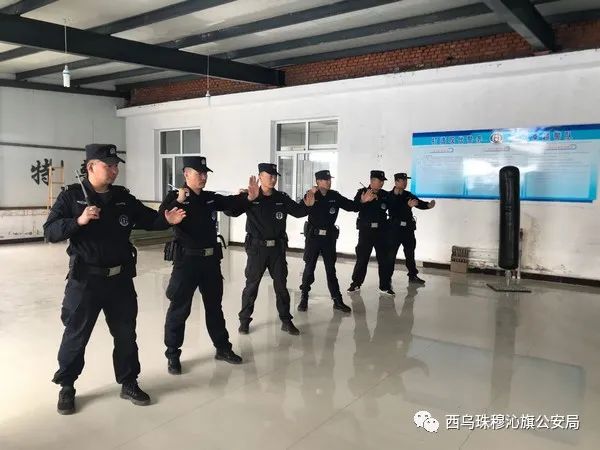 特警组织训练简报图片