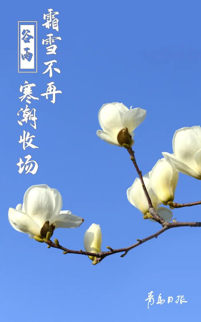 今日“谷雨”，万物蓬勃！