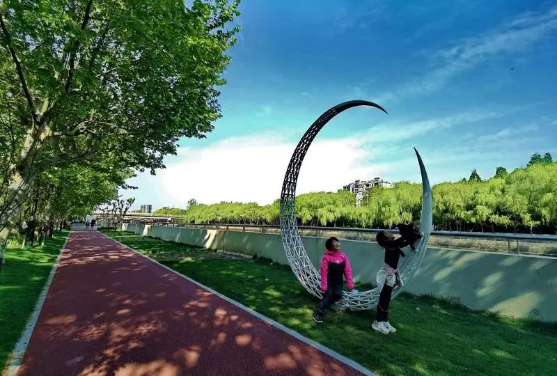 这条生态长廊要呼之欲出啦看网友已经按捺不住出去咔嚓了