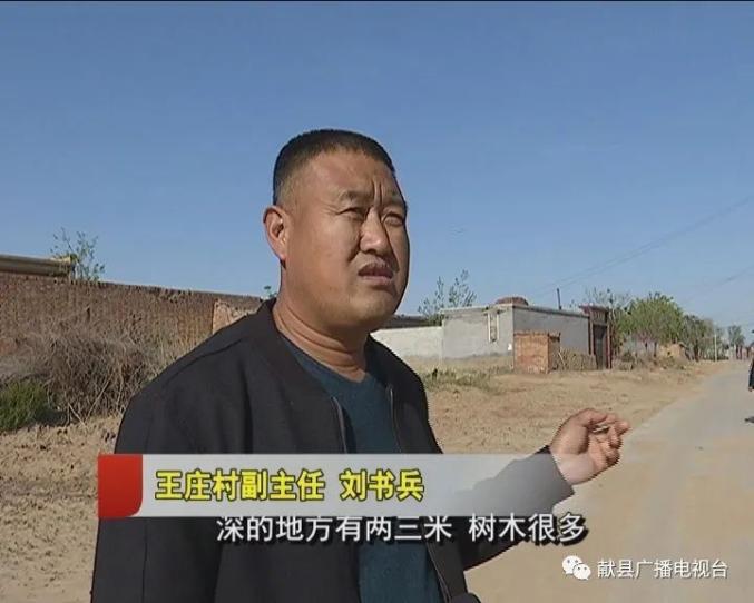 村副主任 刘书兵"以前这条路是深坑高低不平,深的地方有两三米,树木