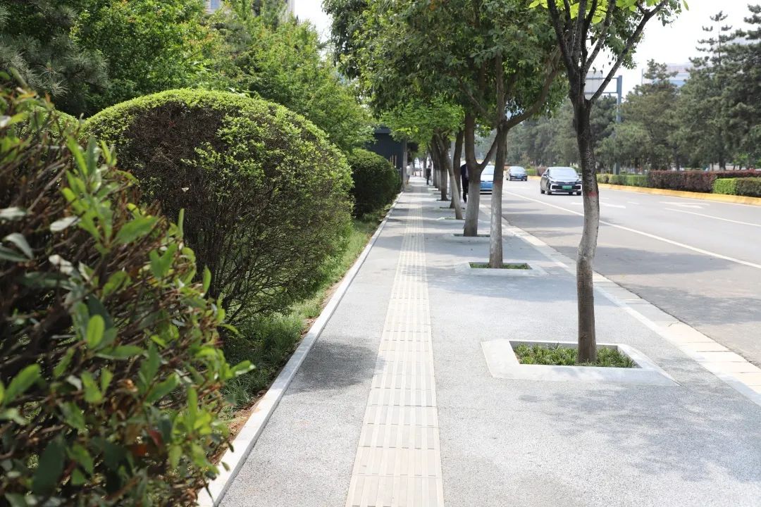 航天基地人行道逆袭变身打造会喝水的海绵路