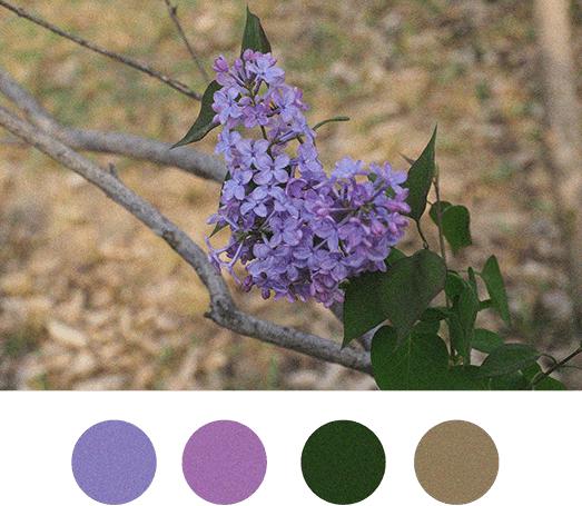 "日暮收去晚霞,玉壶点亮银辉,春夜的晚空愈发纯粹起来幽幽的黛色中