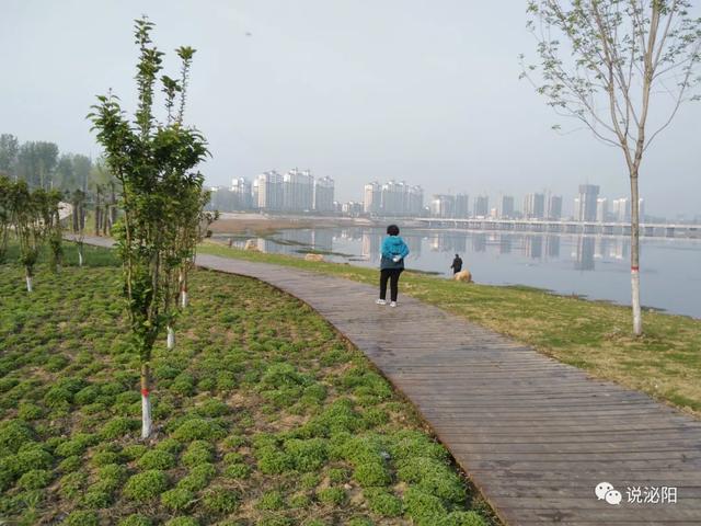 泌阳县城好玩的公园图片