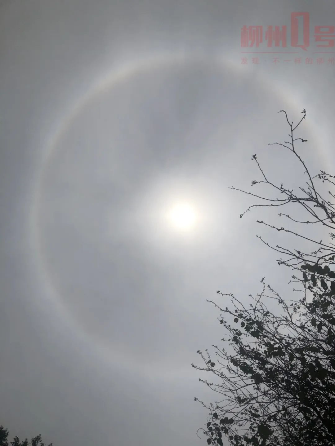 要变天柳州天上两个太阳刷屏后几天直逼30再降雨南风