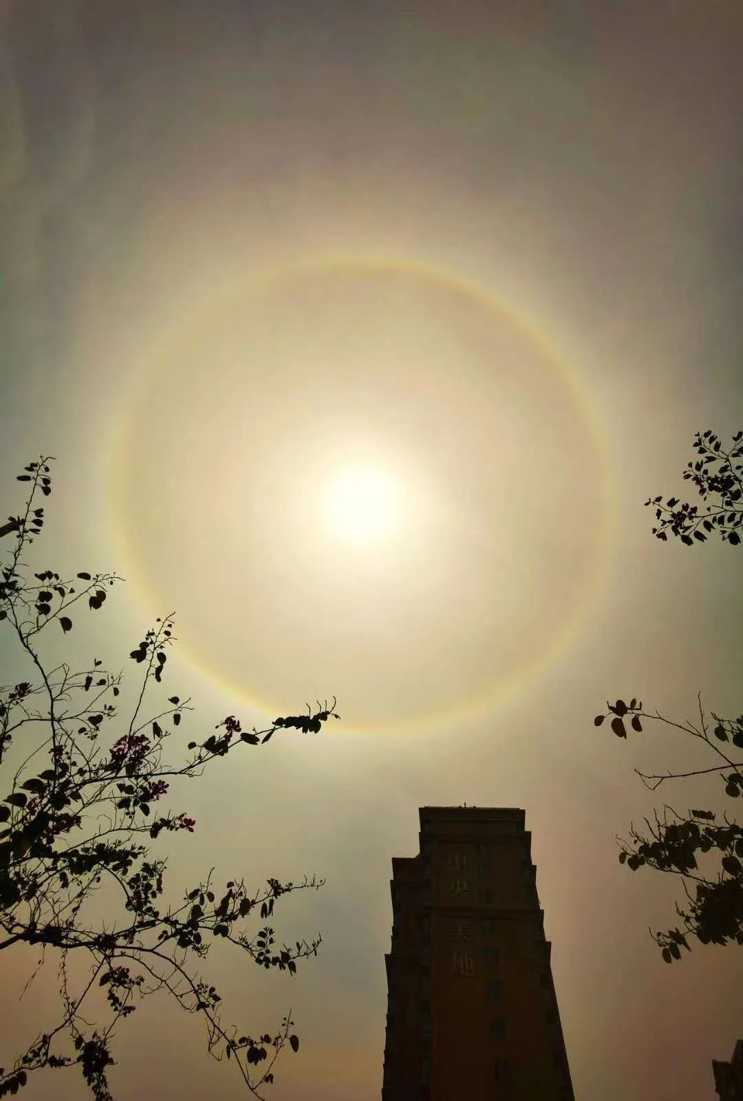 刚刚厦门太阳自带光环你看到了吗