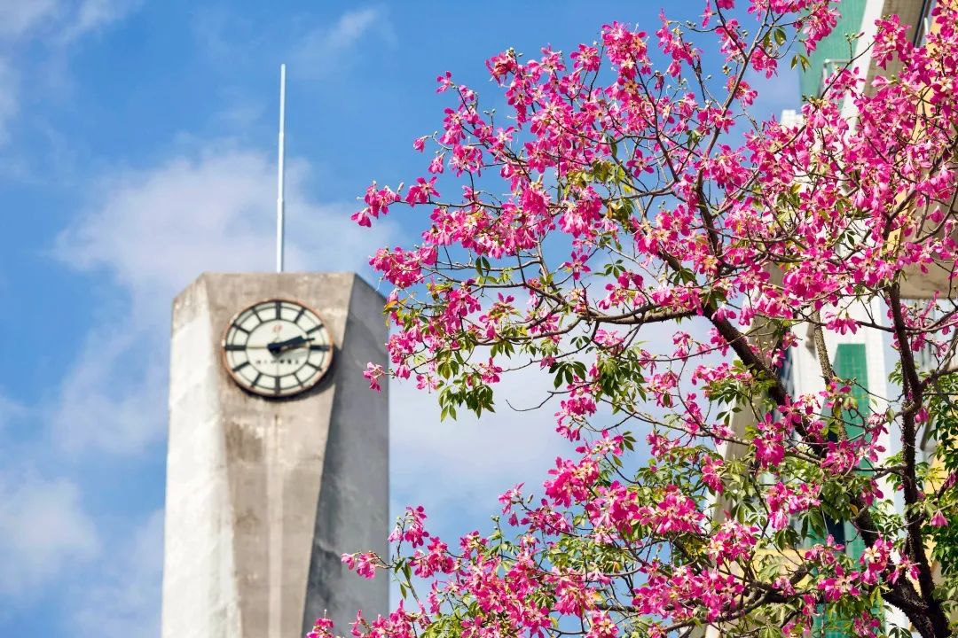 今天我们一起点亮华农