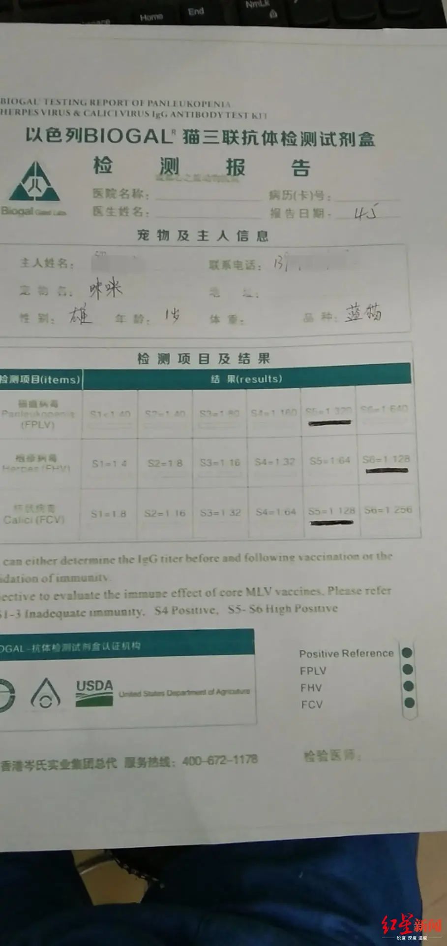 1岁英短做绝育手术后患上猫瘟,猫主人质疑医院