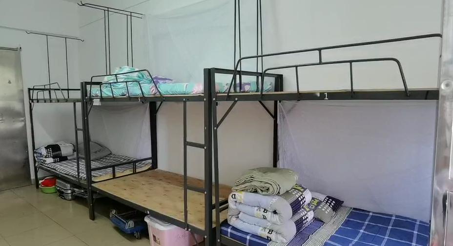 多图现场直击东莞首批学生今天返校