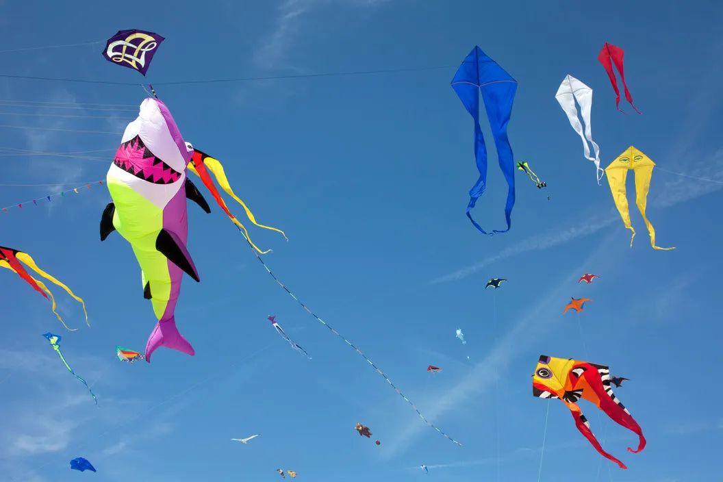 2015法国jean gaumy2015法国jean gaumy2011阿富汗jerome sessini2011