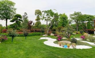 男子租地3000多亩种植苗木，建成“郊野公园”免费开放