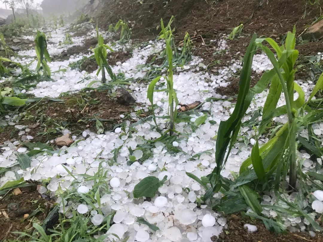 洛川下冰雹图片