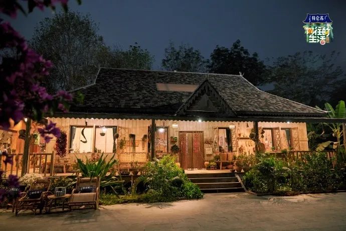 那么问题来了是西双版纳非常具有代表性的植物椰 子 树你们是认真的吗