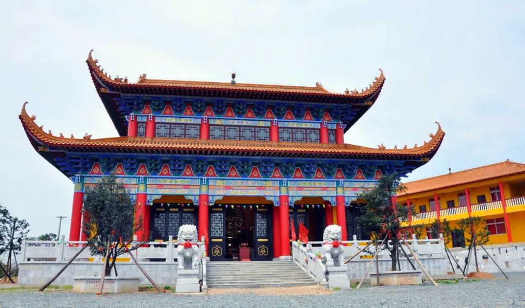 登山烤香猪采桑葚来影珠福临镇静享闲适时光