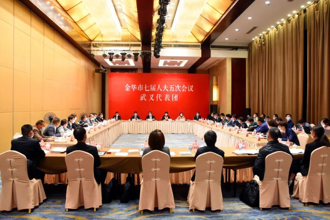 我县市人大代表审议市政府工作报告