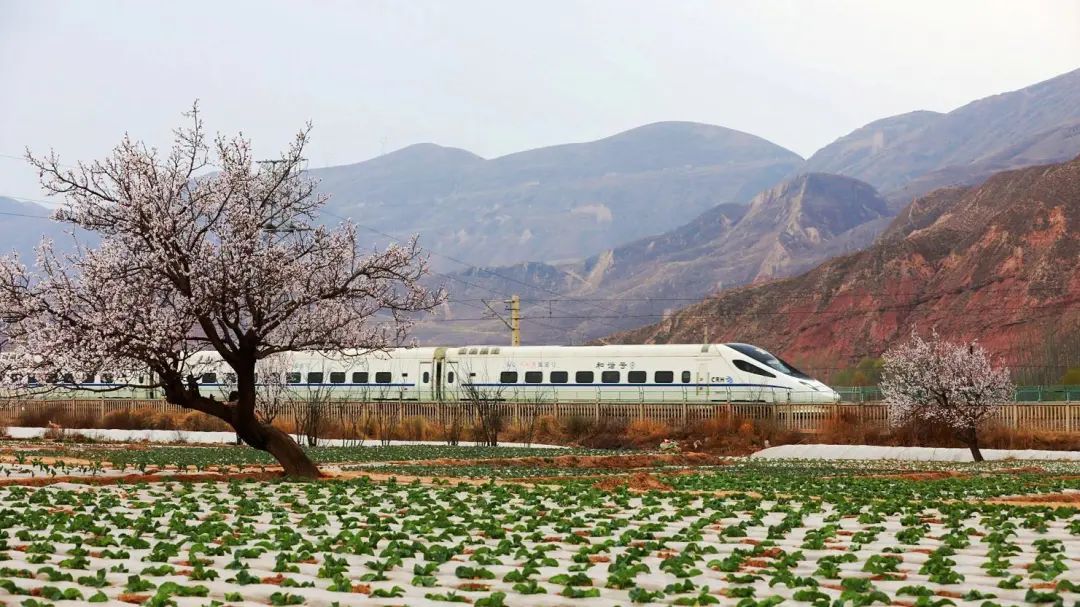 迎水桥机务段存车线上等待出发的机车.(摄影:杨柳青)