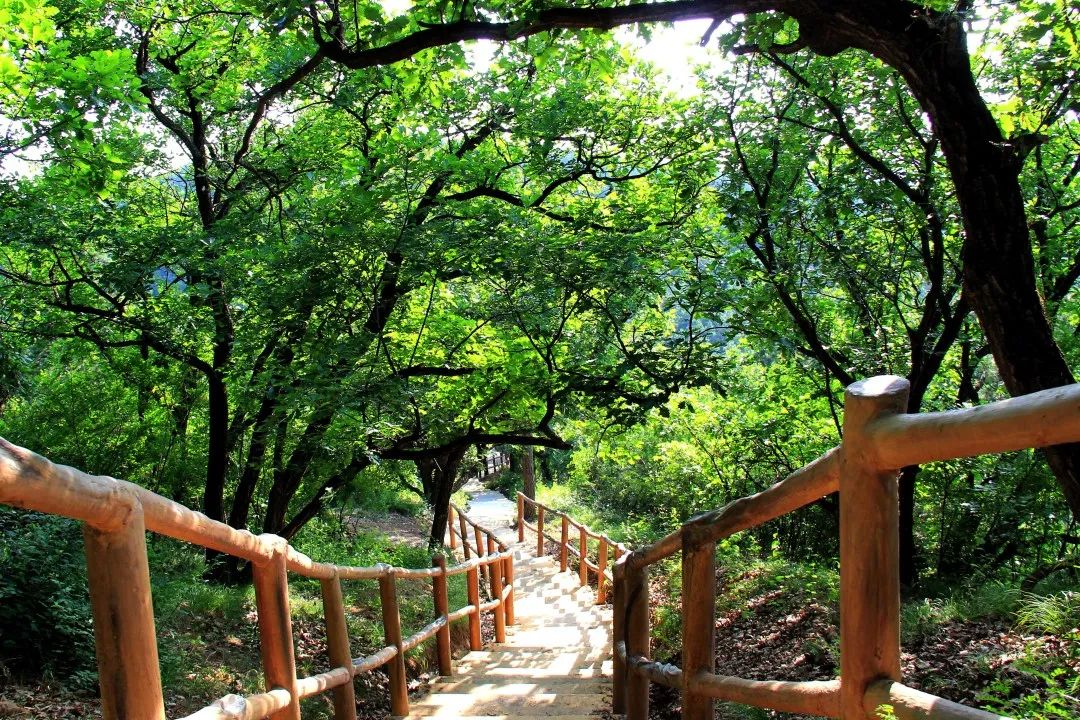 依山傍水,主要以明清古寨,新石器時期遺址,登山步道,香格里拉木棧道