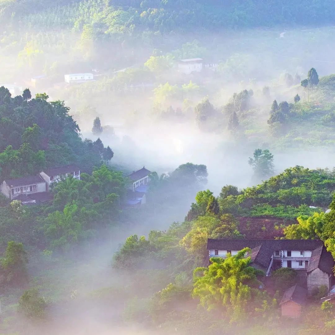 春深夏浅好时光就在龙泉山城市森林公园