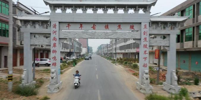 春游江淮请您来丨到阜南，来一场花卉生态游