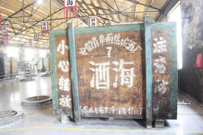 春游江淮请您来丨到阜南，来一场花卉生态游