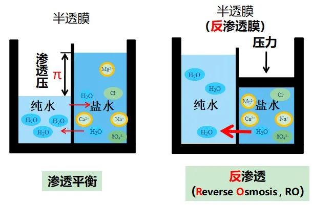 人体静脉输液或注射时,必须使用与人体体液渗透压相同的等渗溶液如