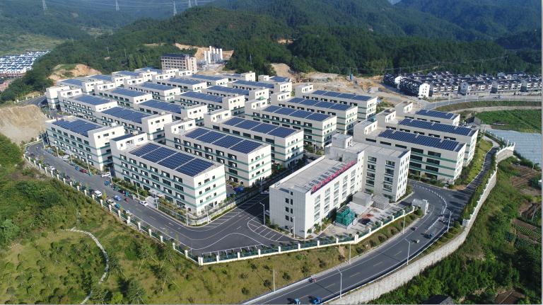 老树新枝更著花从三大产业复兴看浦江蝶变