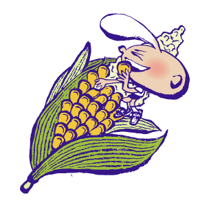 天天我的天 | 你也像我一样吃玉米吗?