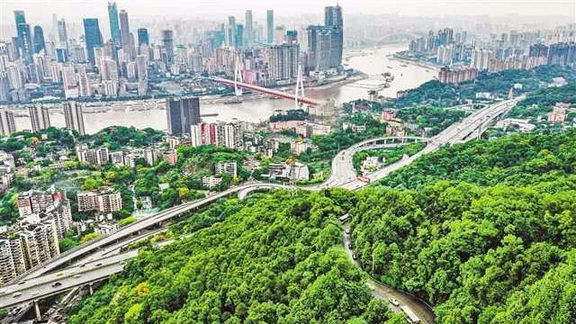 各地林草头条|重庆主城"四山"变身"城市绿肺,市民花园"