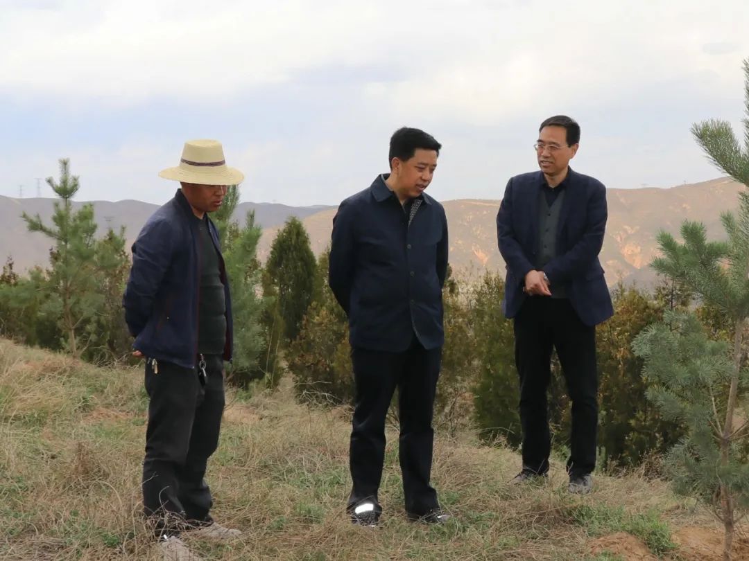 党组书记代院长李小宁一行到定西丰禾督查市法院义务植树工作