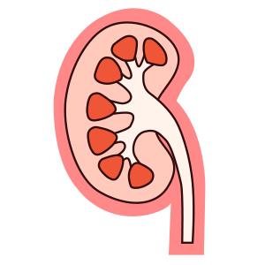 可能发现各种肾脏问题尿常规但其实,看懂尿常规比你想象得简单.