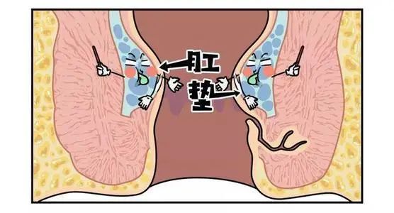 肛门人口_人口普查