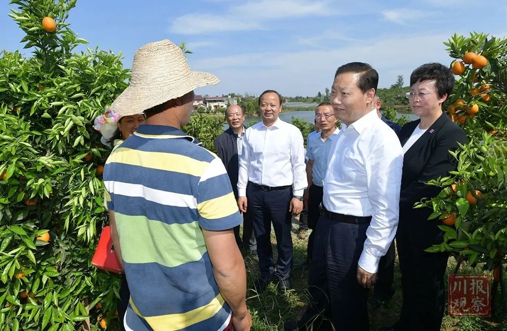 4月27日,省委书记彭清华到内江市资中县银山镇老场村血橙培育基地调研