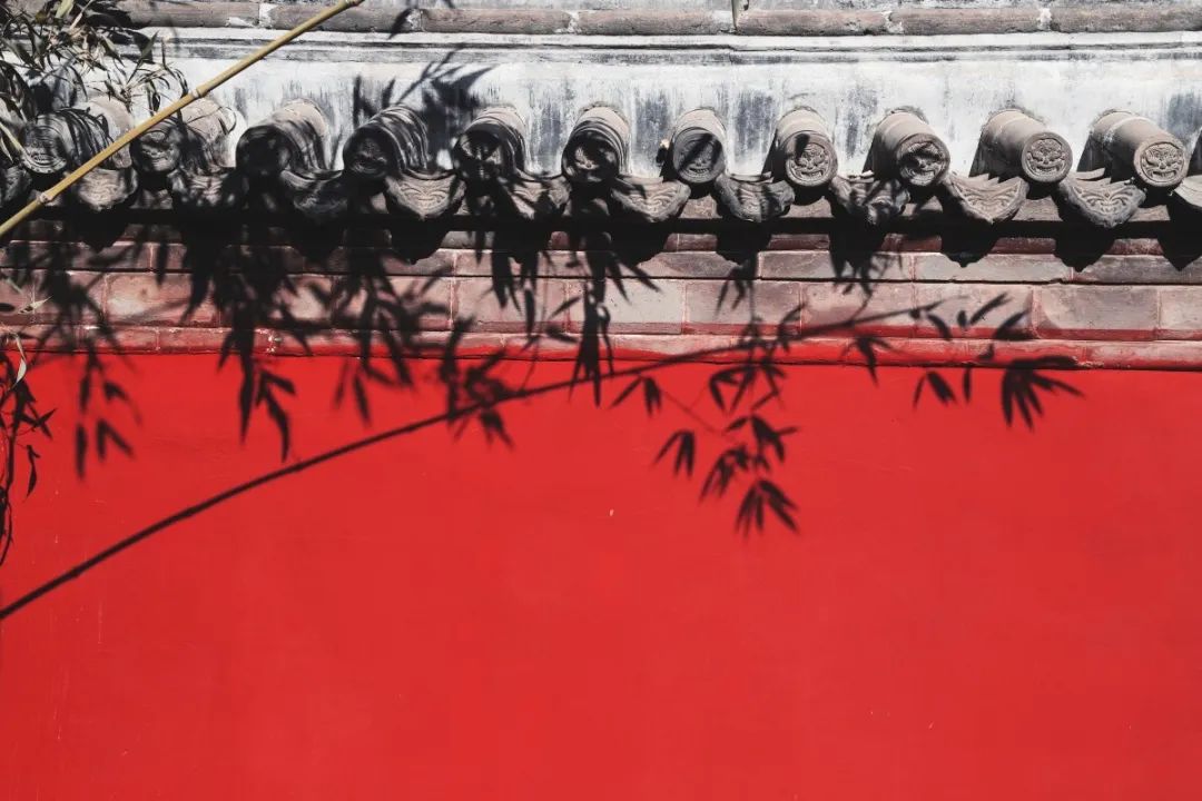 红墙青瓦△春的气息△荣国府牡丹花开△河北大道美如图△荣国府内