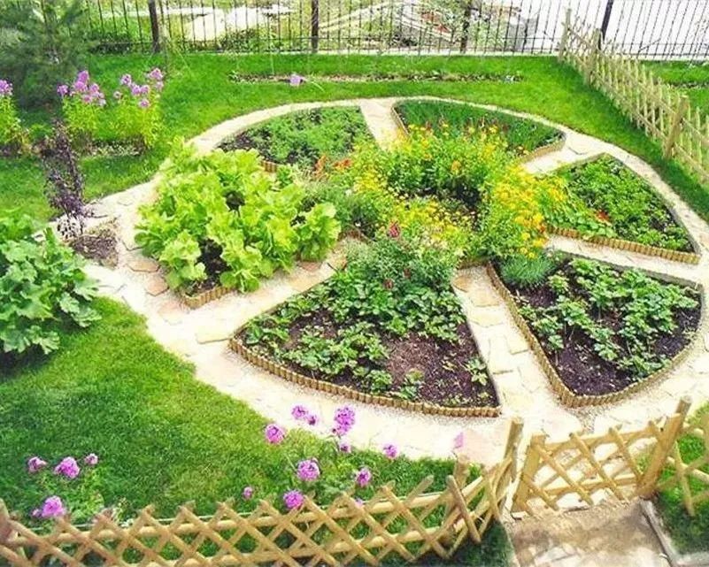 花园菜地设计图图片