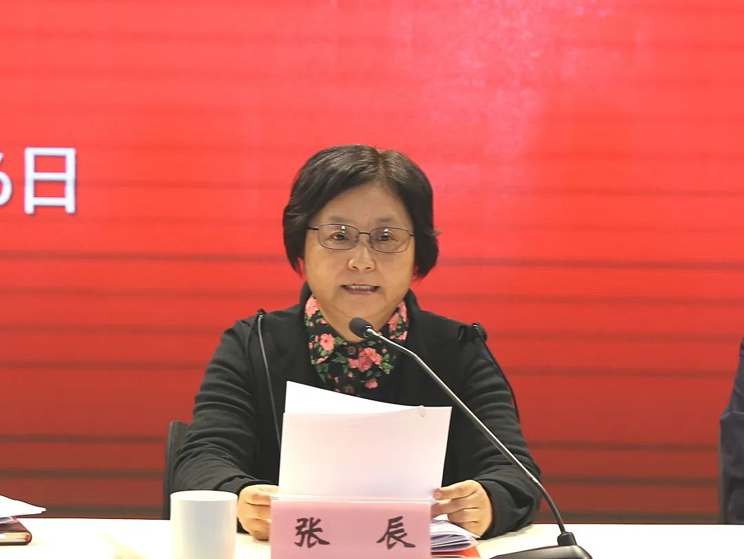 张辰宣读了《民进上海市委2019年度先进单位,先进个人表彰决定》.