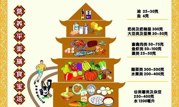 均衡膳食合理运动健康成长