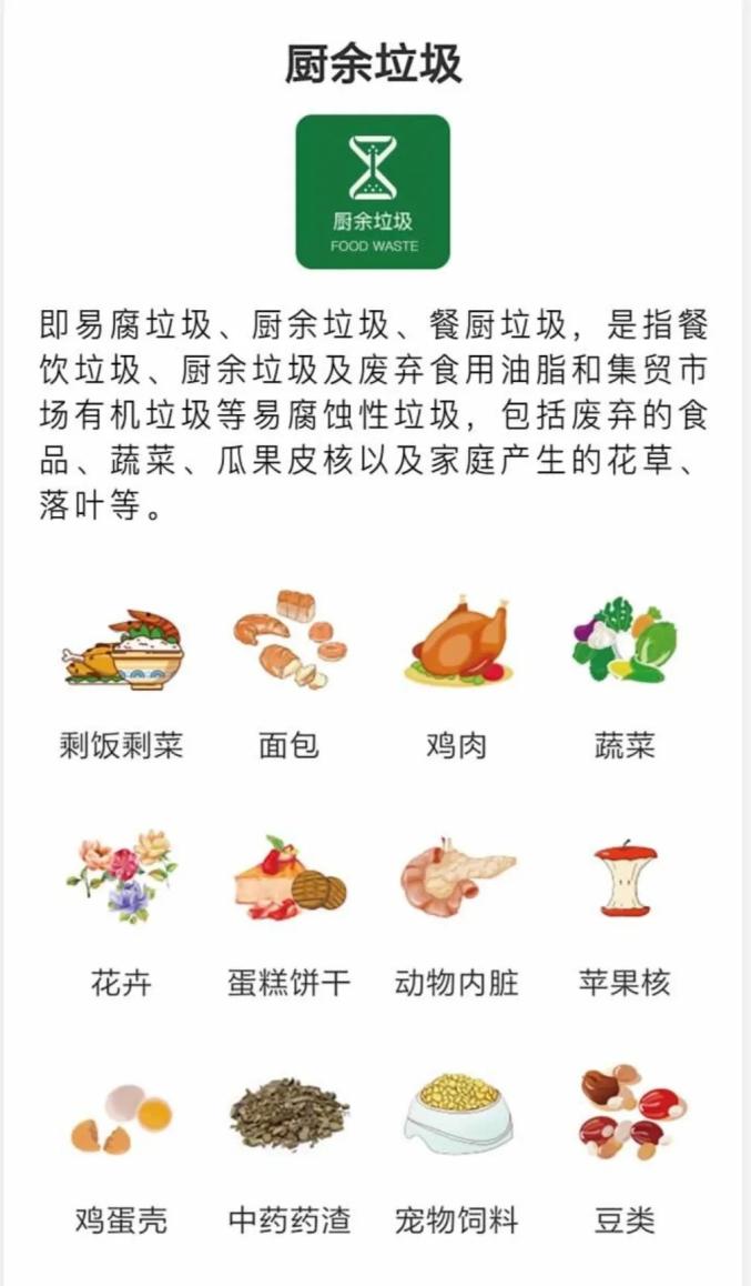 北京垃圾分类倒计时个人违反最高罚200四分法教你轻松分类