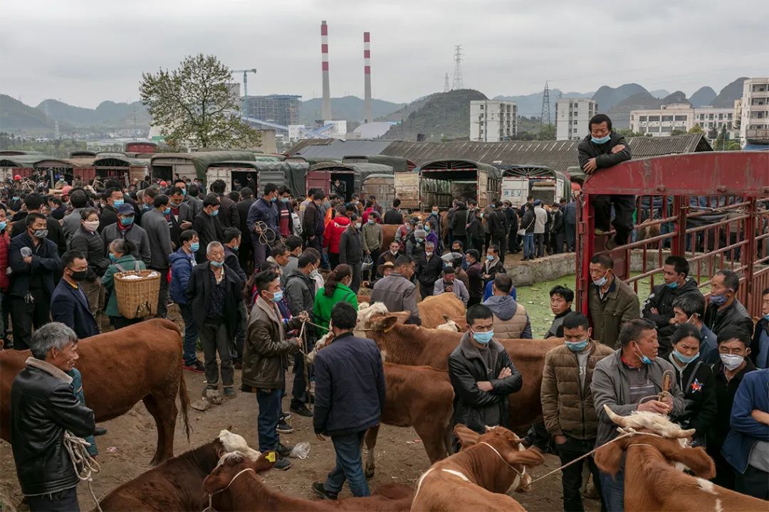 杨兴昌疫情后的牛市