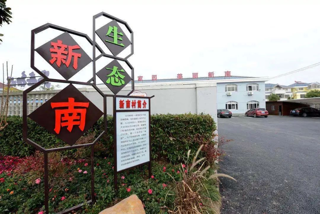 好消息浦东这5个村列入今年上海乡村振兴示范村建设计划