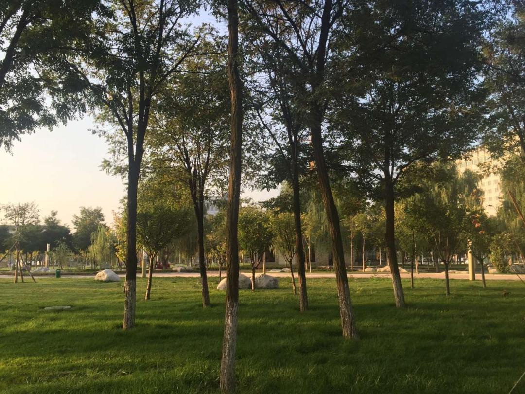 甘肃庆阳春暖花开我想带你到庆阳的各个公园里走走