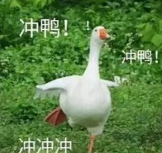 湖南车展_湖南车展瑜伽美女走光_2012湖南车展