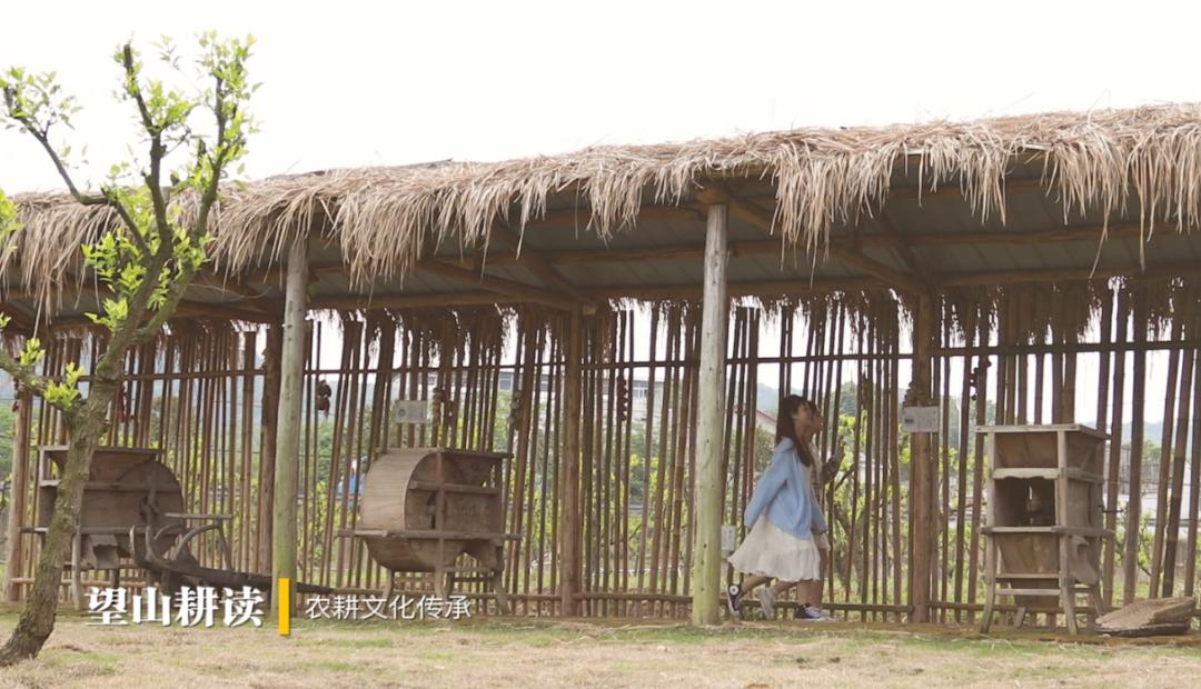 寻春踏歌,耕读摘种.