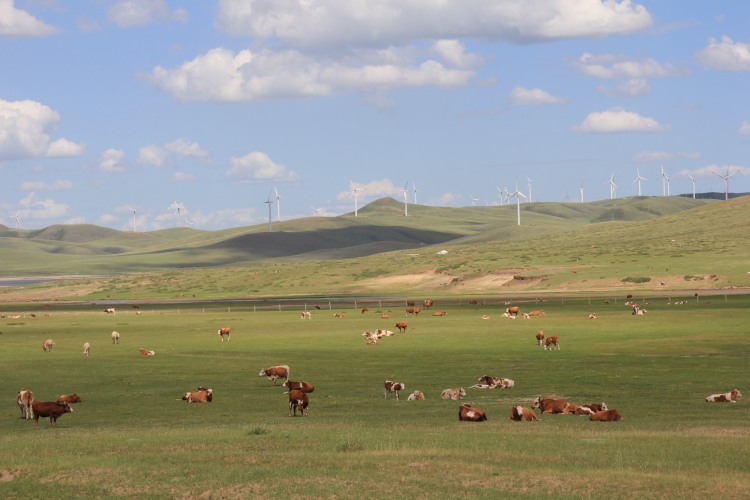 步履坚实谋发展 砥砺前行尽朝晖